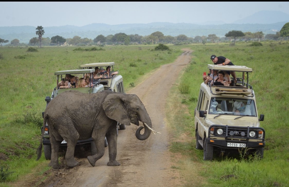 Ngorongoro Highlands